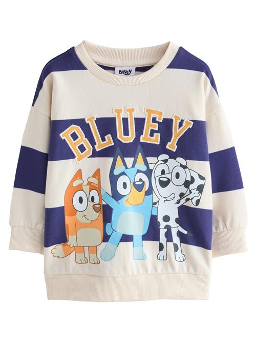 Next Sweatshirt  navy / lyseblå / mørkeorange / hvid