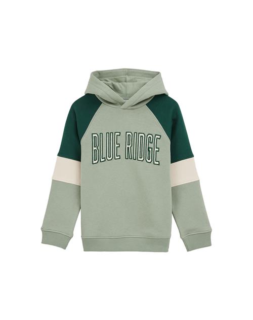 WE Fashion Sweatshirt  creme / grøn / lysegrøn