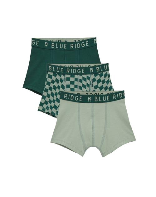 WE Fashion Underbukser  blandingsfarvet