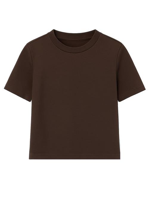 Eoselio Shirts  mørkebrun