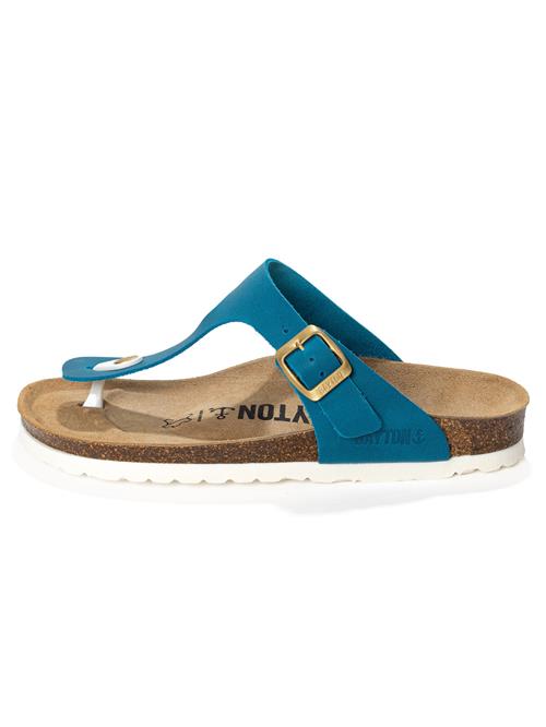 Bayton Klipklappere 'MERCURE'  blå