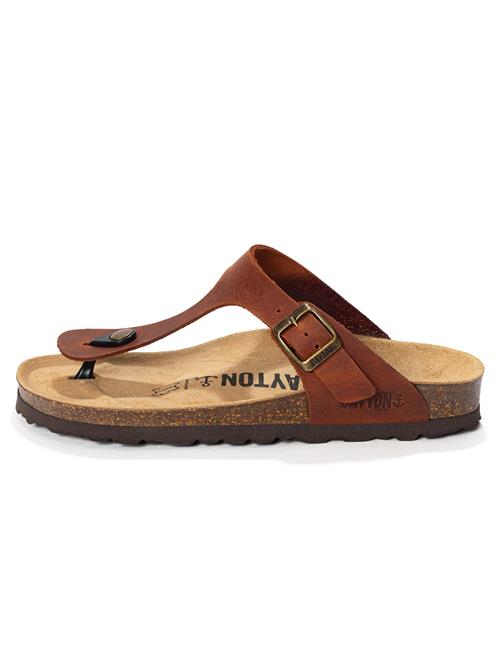 Bayton Klipklappere 'MERCURE'  brun