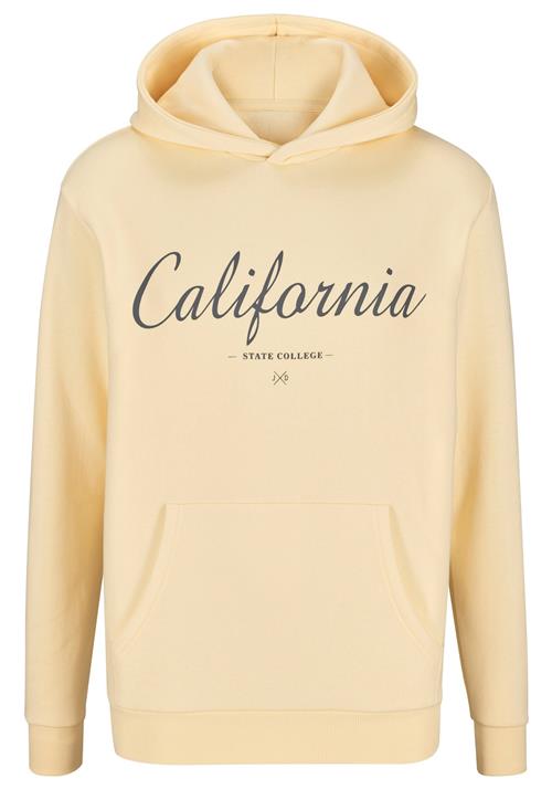 JOHN DEVIN Sweatshirt  lysegul / grafit