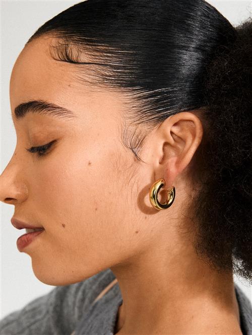 Pilgrim Øreringe 'Phase'  guld