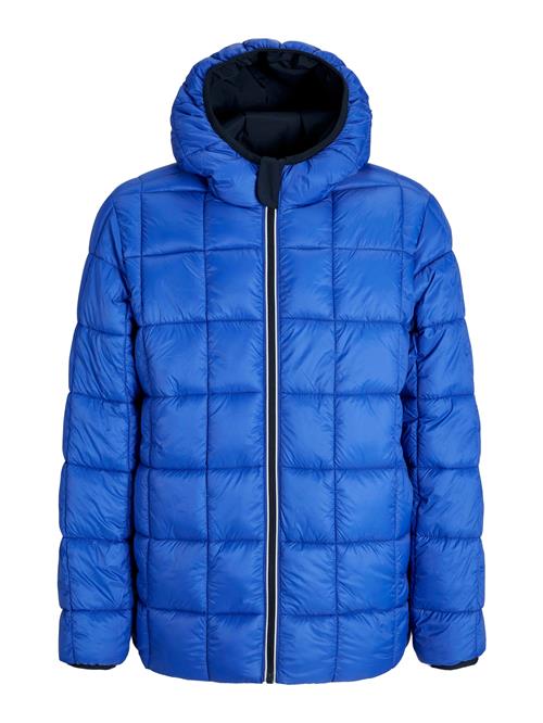JACK & JONES Vinterjakke 'JJEBrook'  natblå / royalblå