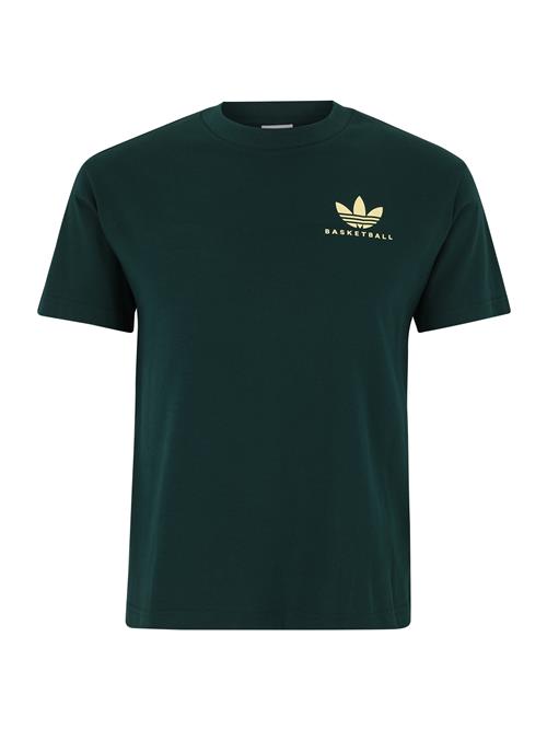 ADIDAS ORIGINALS Bluser & t-shirts 'INTERCON'  pastelgul / gran