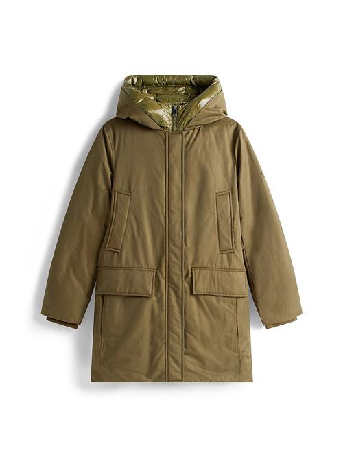 TOMMY HILFIGER Vinterparka  khaki