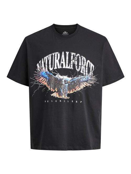 JACK & JONES Bluser & t-shirts  blå / melon / sort / hvid