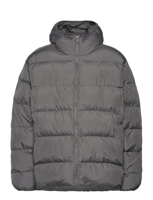 adidas Originals | Adidas Originals Tonal Hooded Puffer | M