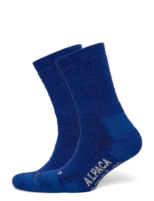 Alpacasocks&Co | Alpacasocks 2-Pack | 45-48