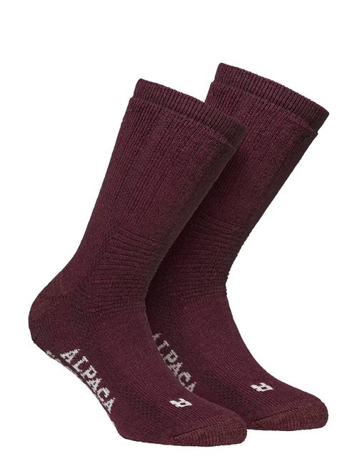 Alpacasocks&Co | Alpacasocks 2-Pack | 42-45