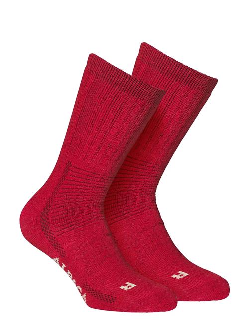 Alpacasocks&Co | Alpacasocks 2-Pack | 42-45