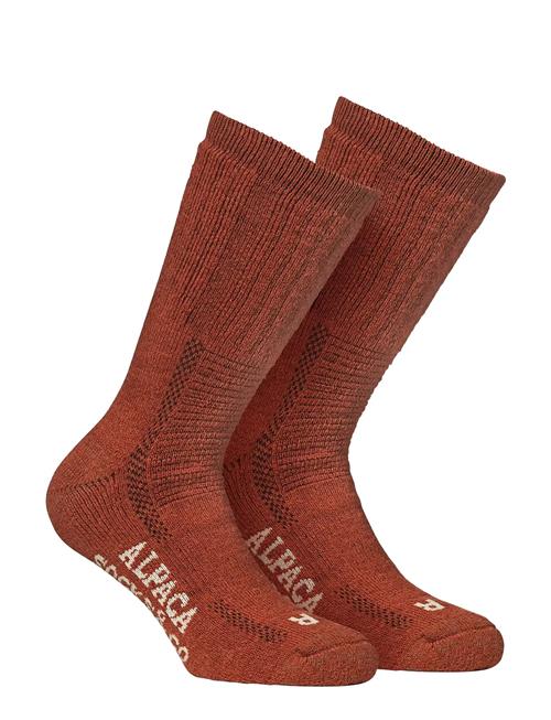 Alpacasocks&Co | Alpacasocks 2-Pack | 39-42