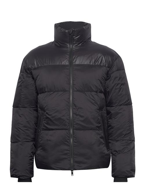 Lindbergh | Contrast Quality Padded Jacket | XXL