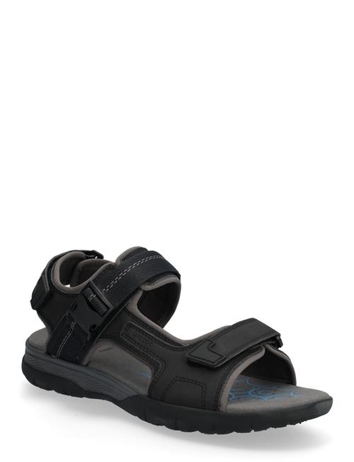 GEOX | U Spherica Ec5 B | 44