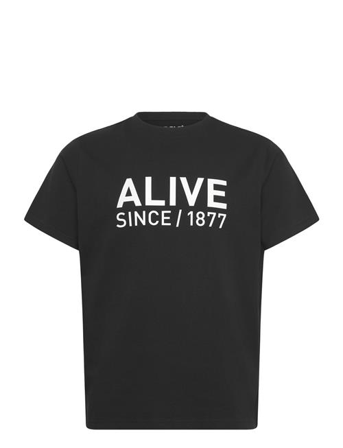 Helly Hansen | Core Graphic T 2.0 | S