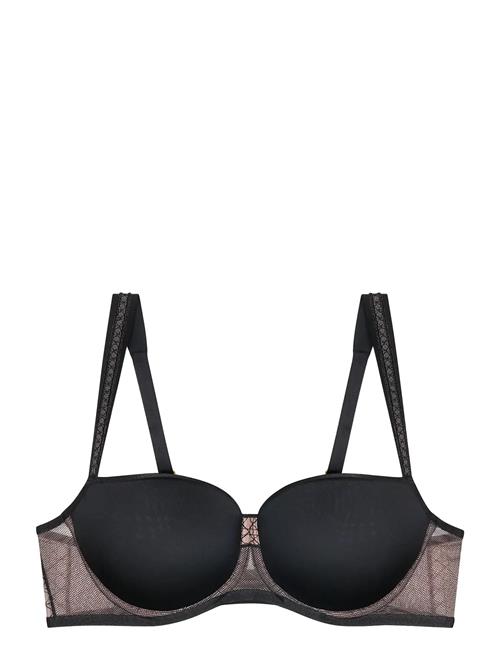 Triumph | Palina Cosmic Heartbeat Whp | D x 80