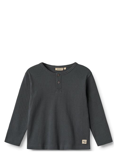 Wheat | T-Shirt L/S Morris | 98