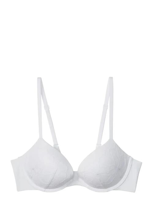 Calvin Klein | Push Up Plunge | A x 70