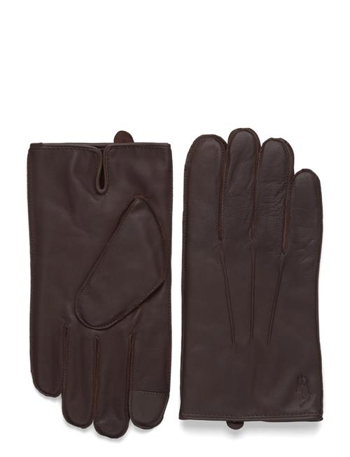Polo Ralph Lauren | Insulated Sheepskin Touch Screen Gloves | M
