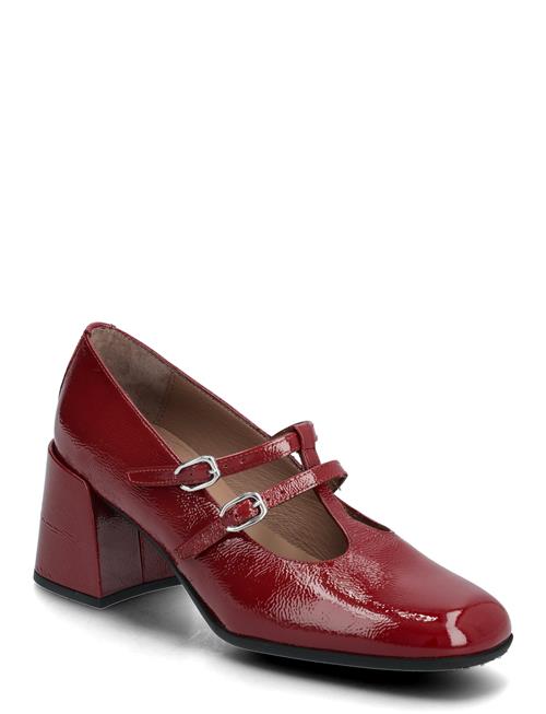 Wonders | Aura 02 | 38