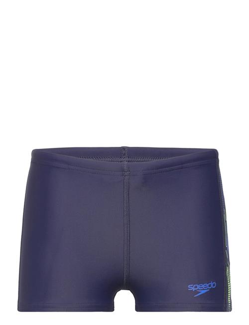 Speedo | Placement Aquashort | 116