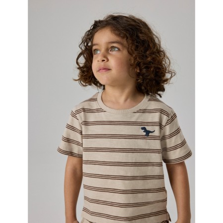 NAME IT T-shirt Voby Chateau Gray Chestnut