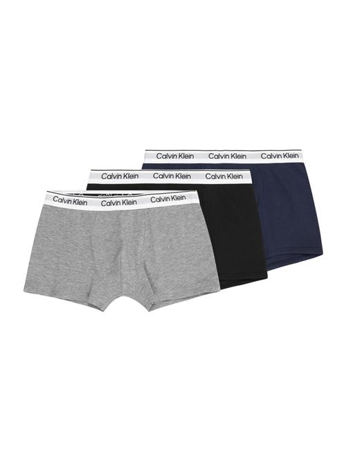Calvin Klein Underwear Underbukser  navy / grå-meleret / sort