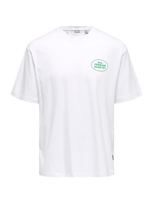 Only & Sons Bluser & t-shirts 'ONSNathan'  jade / hvid
