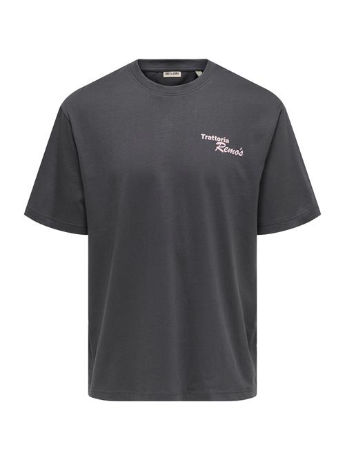 Only & Sons Bluser & t-shirts 'ONSNATHAN'  grå / pudder
