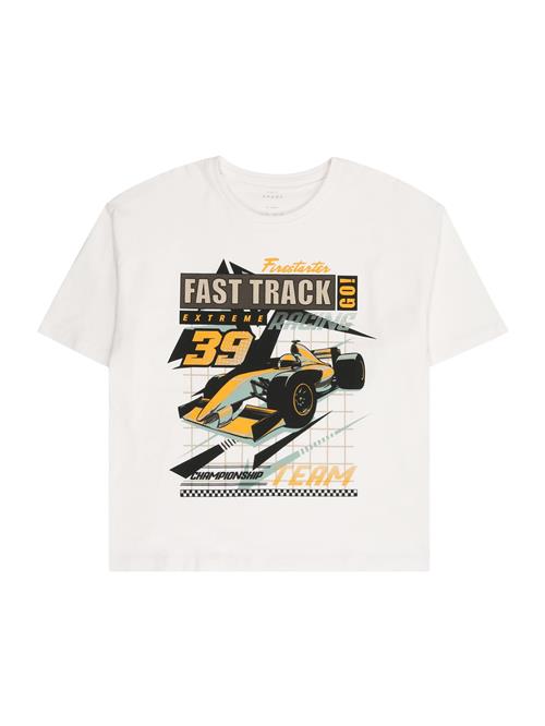 NAME IT Bluser & t-shirts 'NKMVICTOR'  orange / sort / hvid