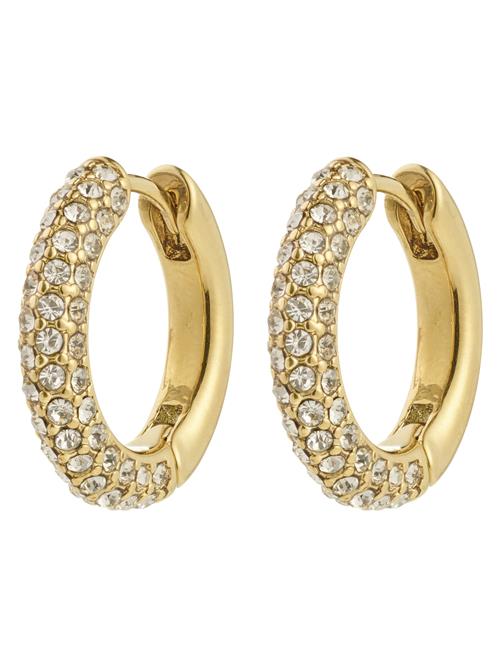 Pilgrim Øreringe 'Tatum'  guld / transparent