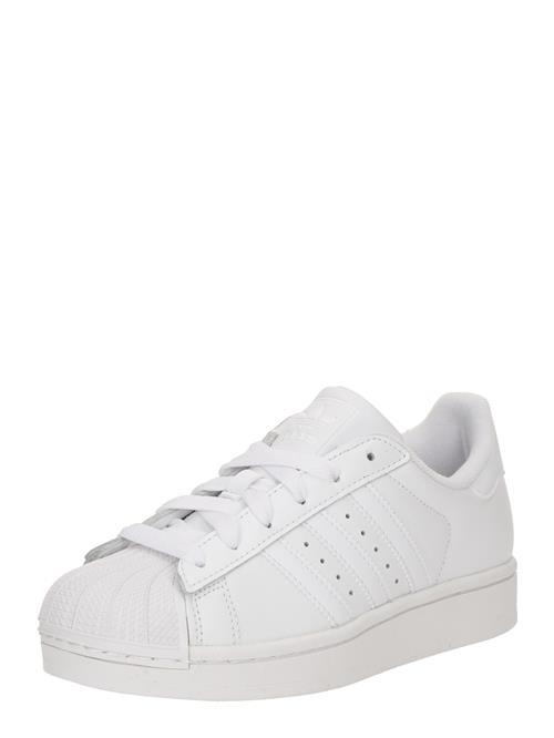 ADIDAS ORIGINALS Sneakers 'Superstar II'  hvid