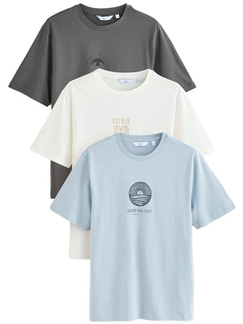 Next Bluser & t-shirts  lyseblå / mørkegrå / hvid