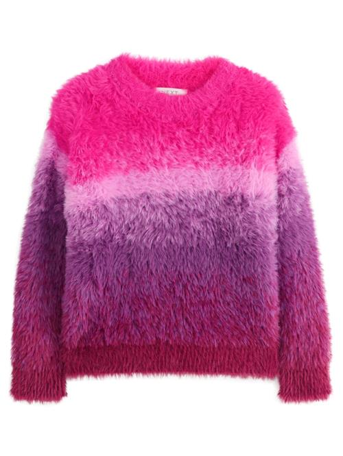 Next Pullover  lilla / pink / mørk pink / bordeaux