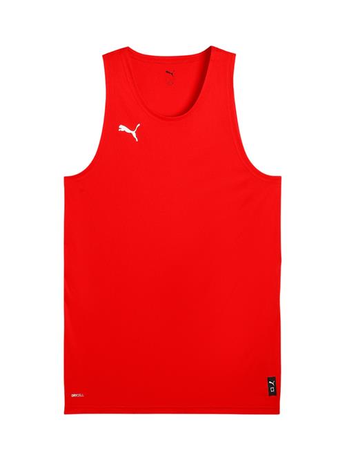 PUMA Funktionsskjorte 'Teamjaws Starter'  rød