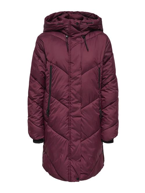 ONLY Vinterfrakke 'ONLMOLLY '  cyclam