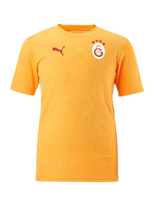 PUMA Fodboldtrøje 'Galatasaray Istanbul'  safran / rød / hvid