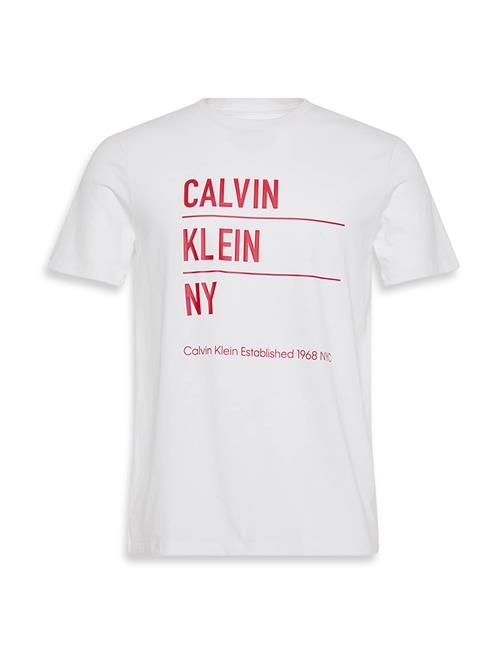 Calvin Klein Jeans Bluser & t-shirts  rød / hvid