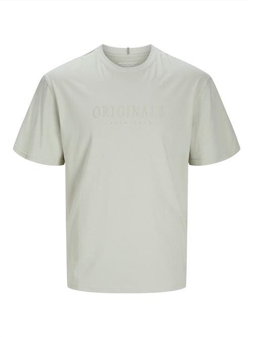 JACK & JONES Bluser & t-shirts 'JWHFREDERIKSBERG'  lysegrå