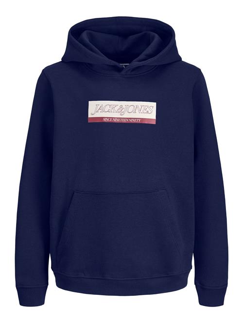 Jack & Jones Junior Sweatshirt  blå
