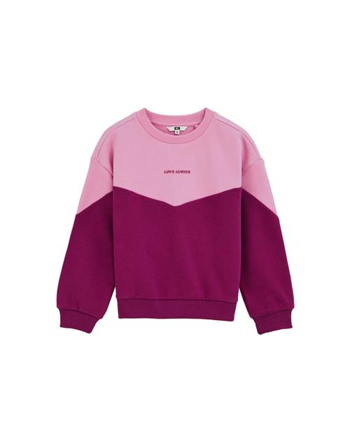 WE Fashion Sweatshirt  lyserød / mørk pink