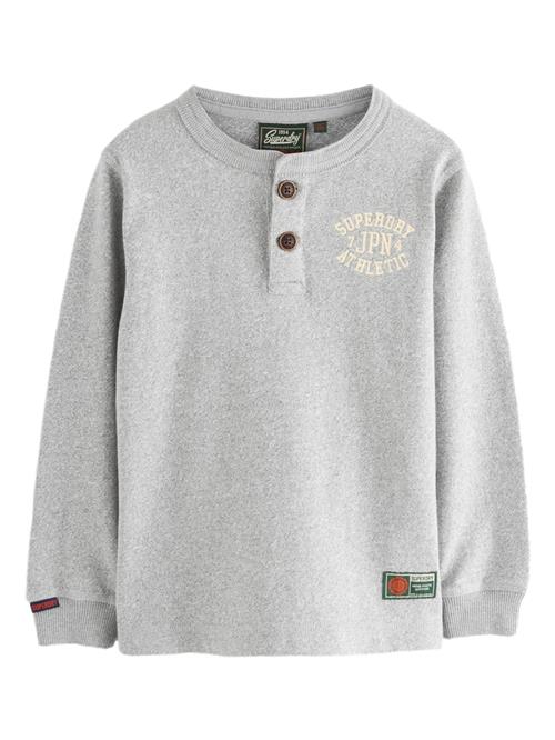 Superdry & Co Shirts  lysegul / grå