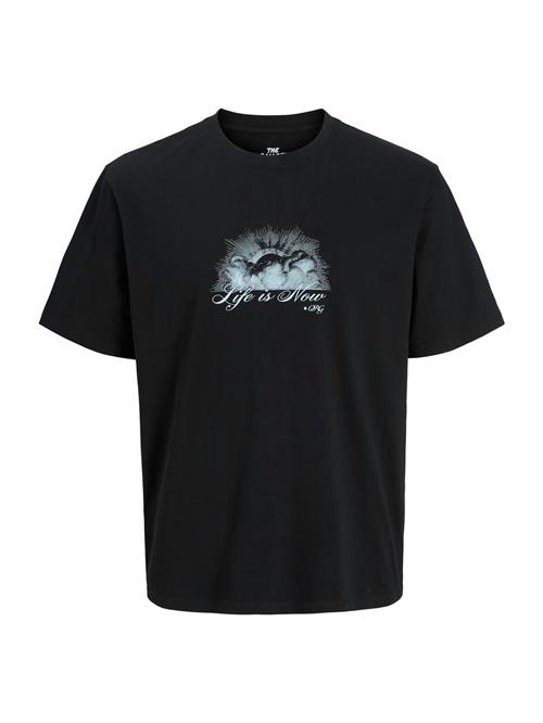 JACK & JONES Bluser & t-shirts 'JORWinged Gallery'  lysegrå / sort / hvid