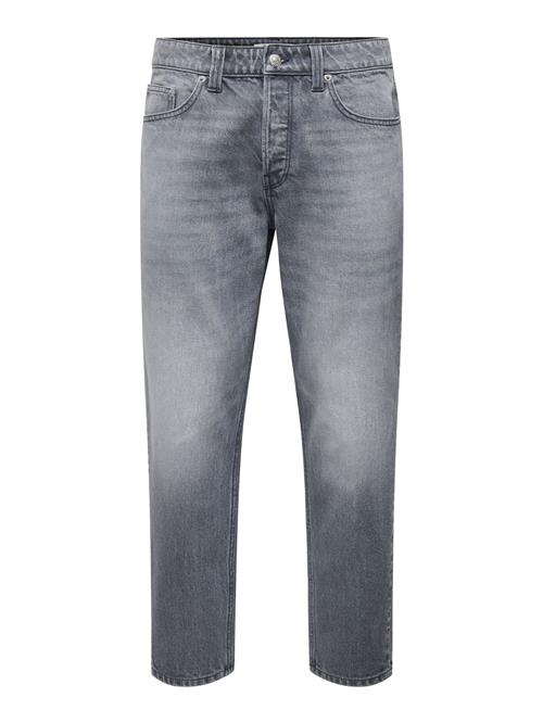 Only & Sons Jeans 'ONSEDGE'  grå