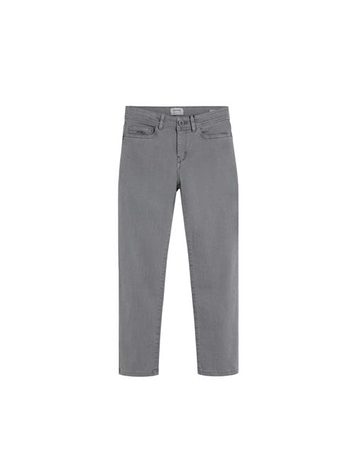 Scalpers Bukser  grå