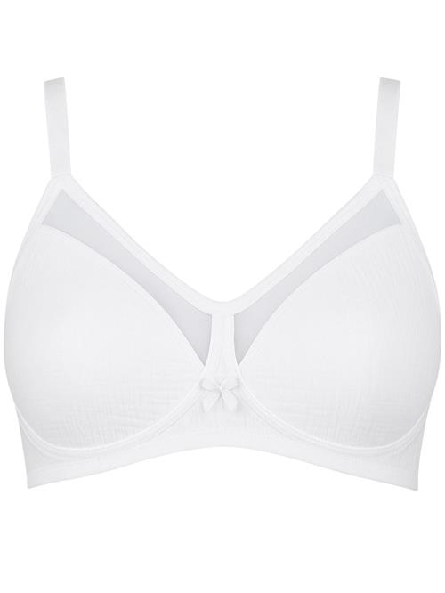 fashionshowcase BH 'Liora'  hvid