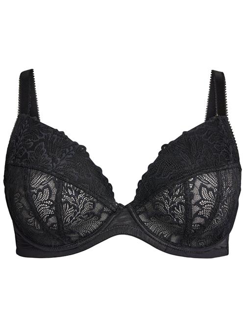 Devoted by Zizzi BH 'Viola'  sort