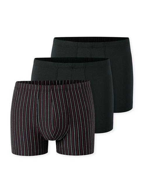 SCHIESSER Boksershorts '95/5 Essentials'  rød / sort / hvid