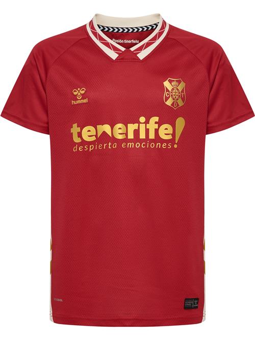 Hummel Funktionsskjorte 'CDT 25/26 Away'  guld / rød